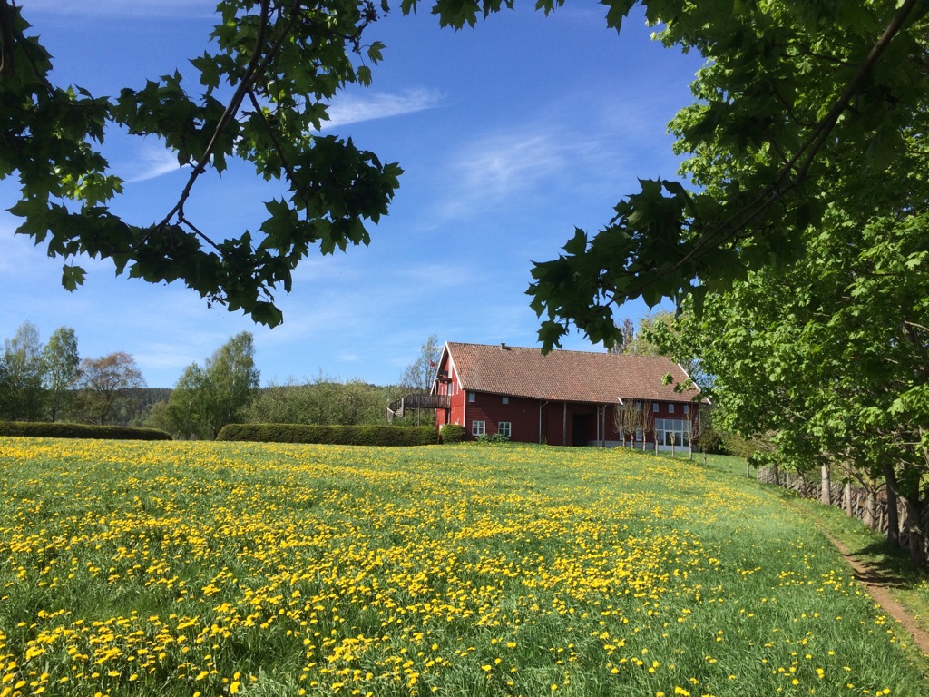 Bilde av Stange gjestegård-Tønsberg