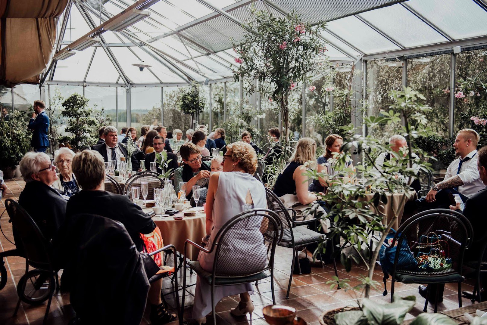 Bilde av Drivhuset Kafé AS