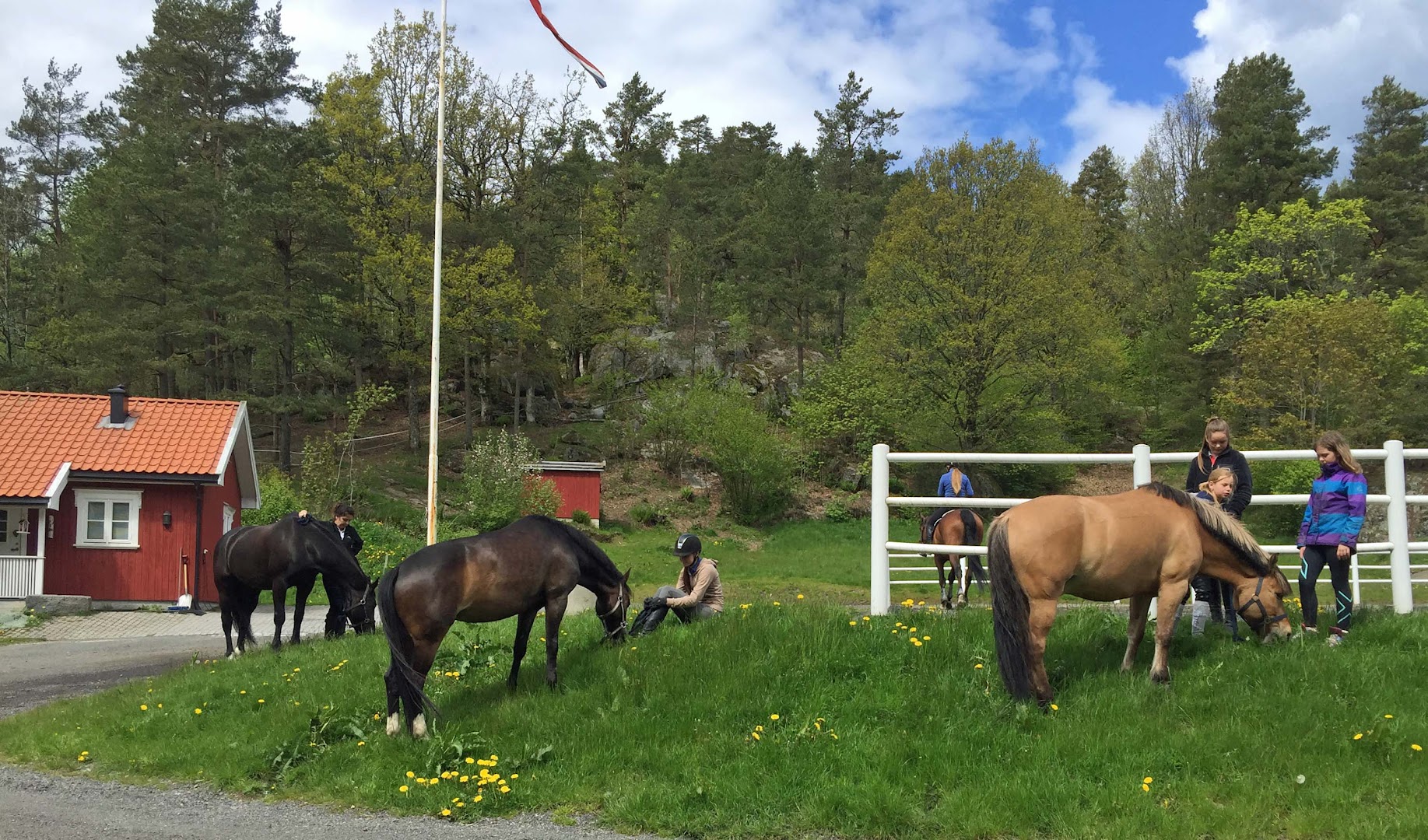 Bilde av Damgården Rodeo & Selskapslokale