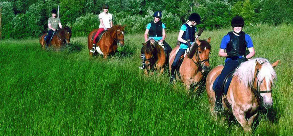 Bilde av Damgården Rodeo & Selskapslokale
