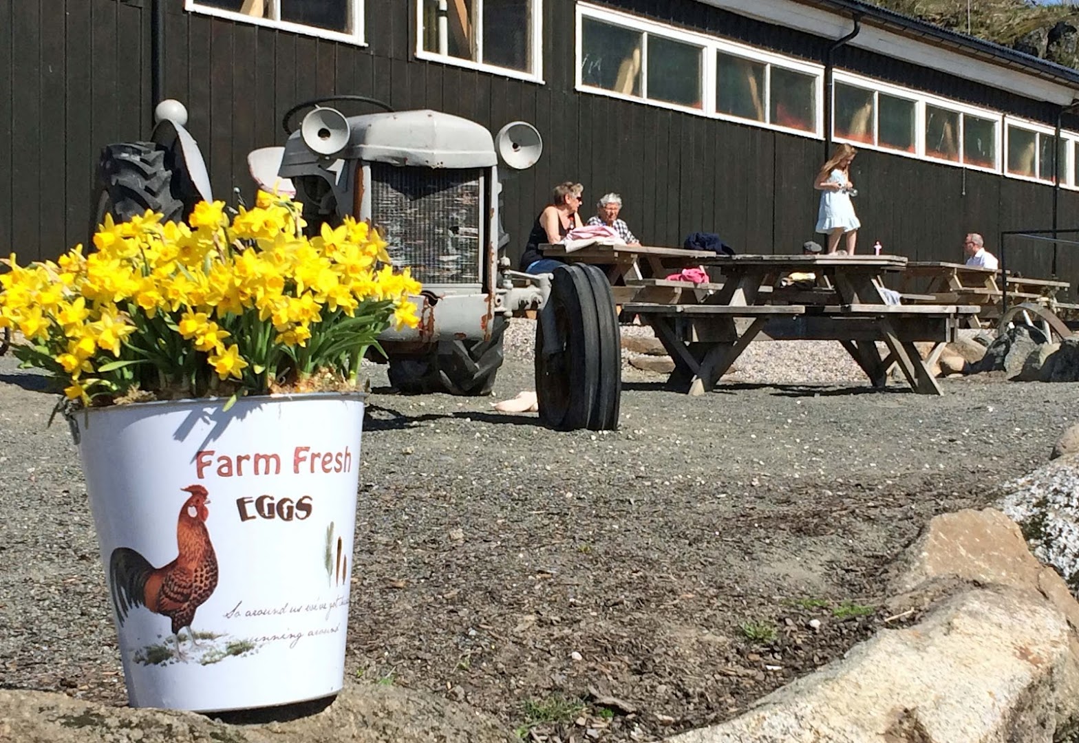Bilde av Damgården Rodeo & Selskapslokale