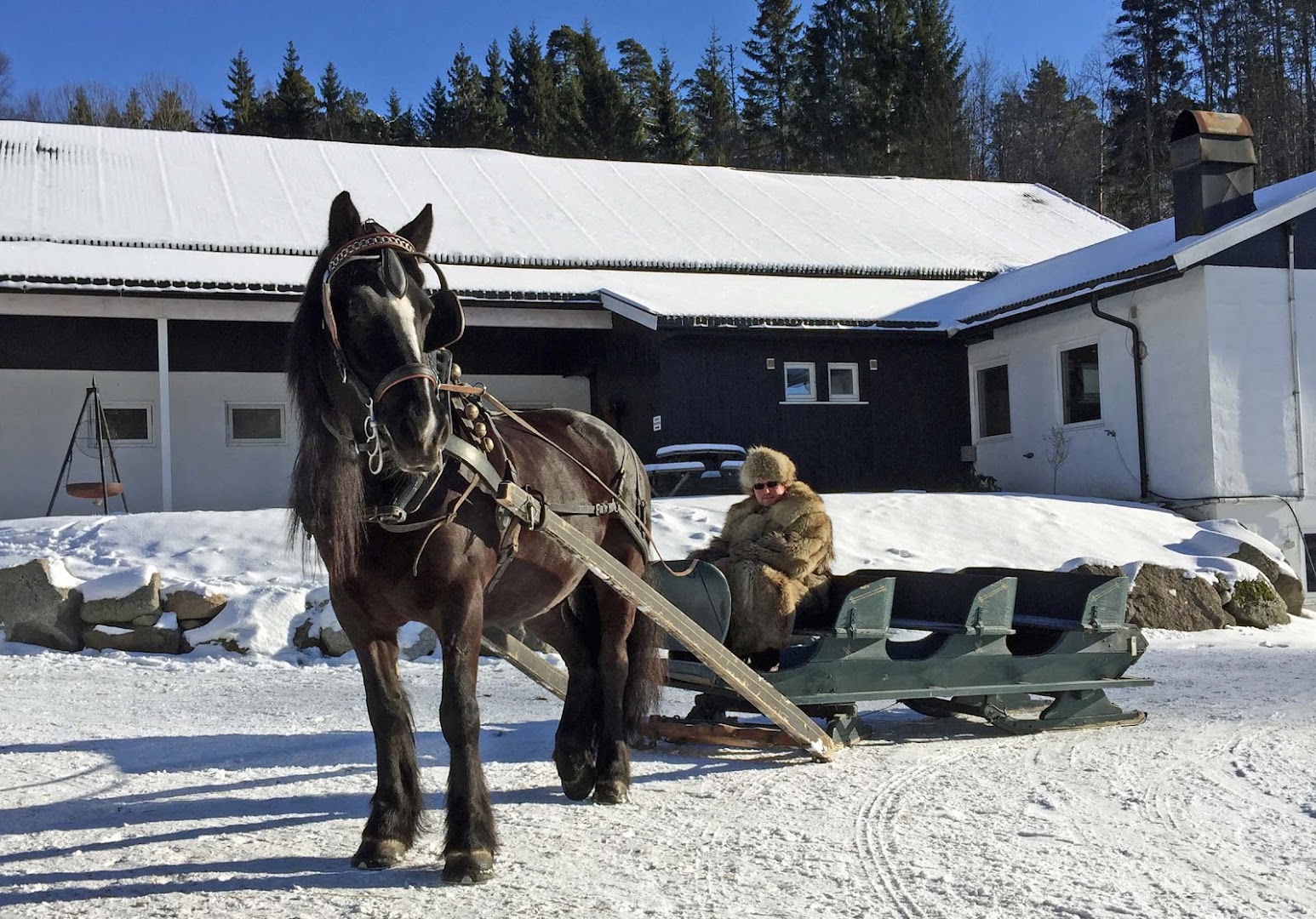 Bilde av Damgården Rodeo & Selskapslokale