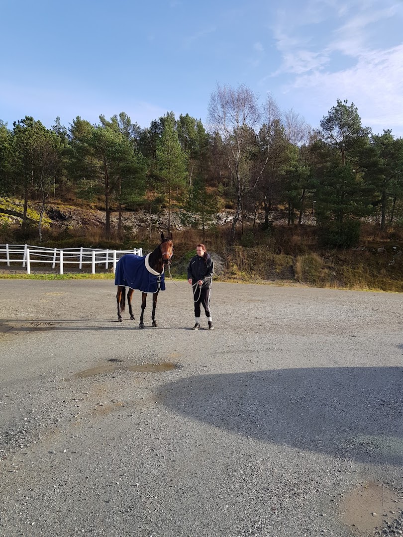 Bilde av Bergen Travpark
