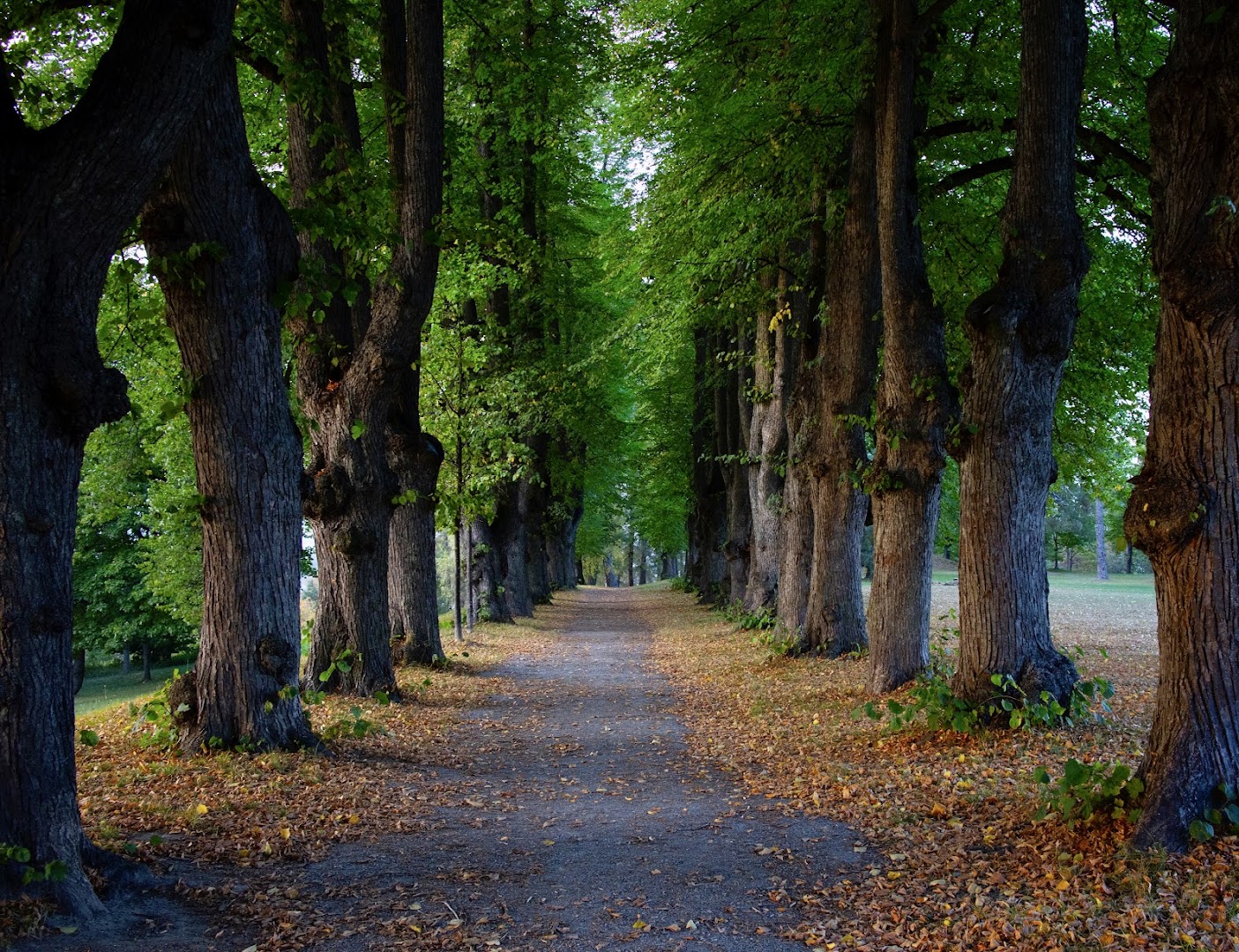Bilde av Nordre Skøyen Hovedgård