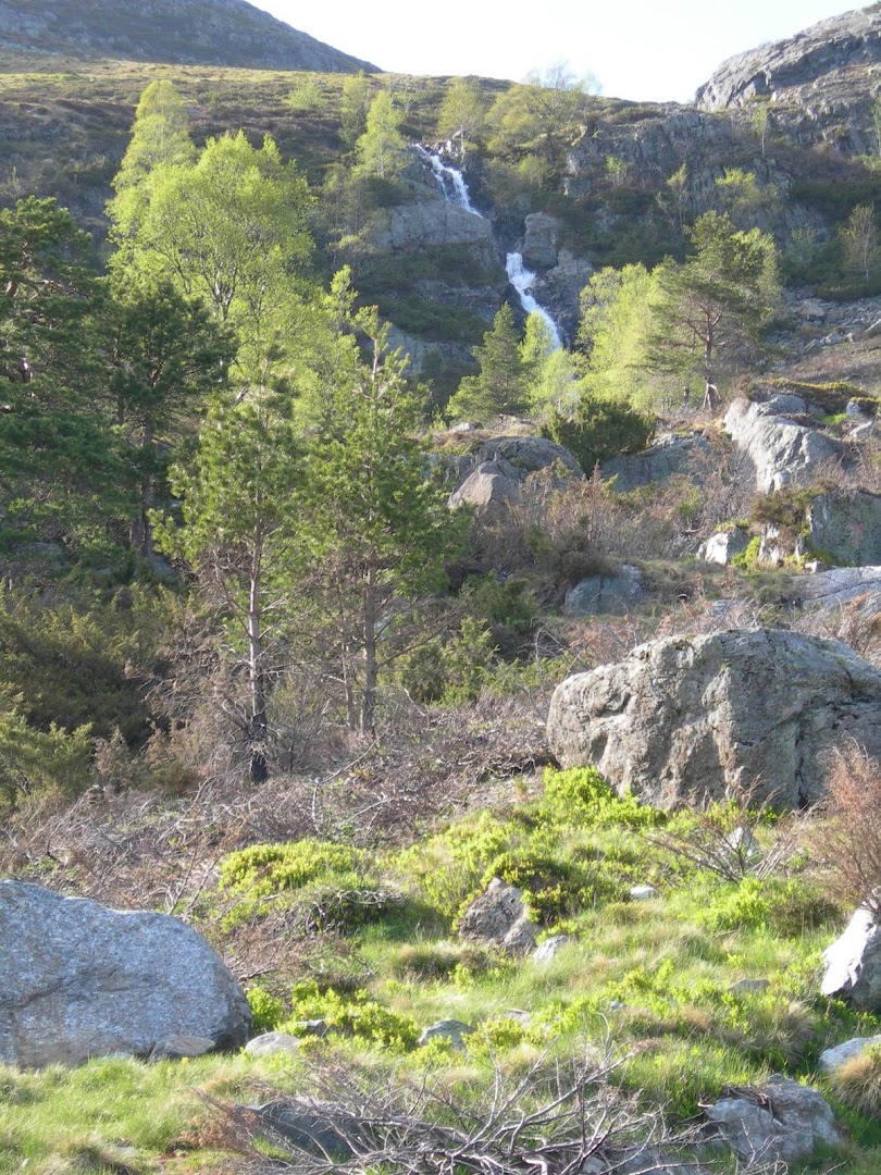 Bilde av Fjellstova Stord