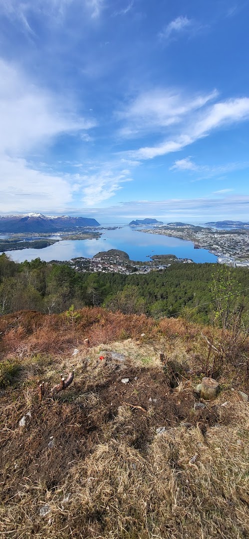 Bilde av Spjelkavik Panorama