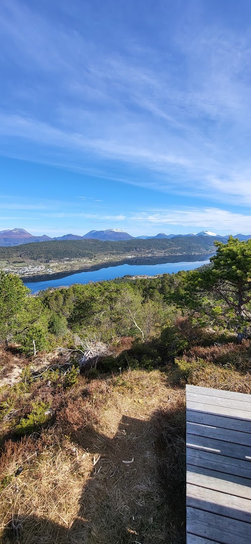 Bilde av Spjelkavik Panorama