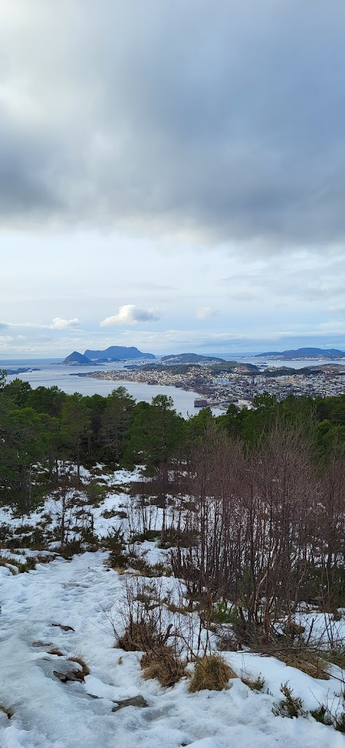 Bilde av Spjelkavik Panorama