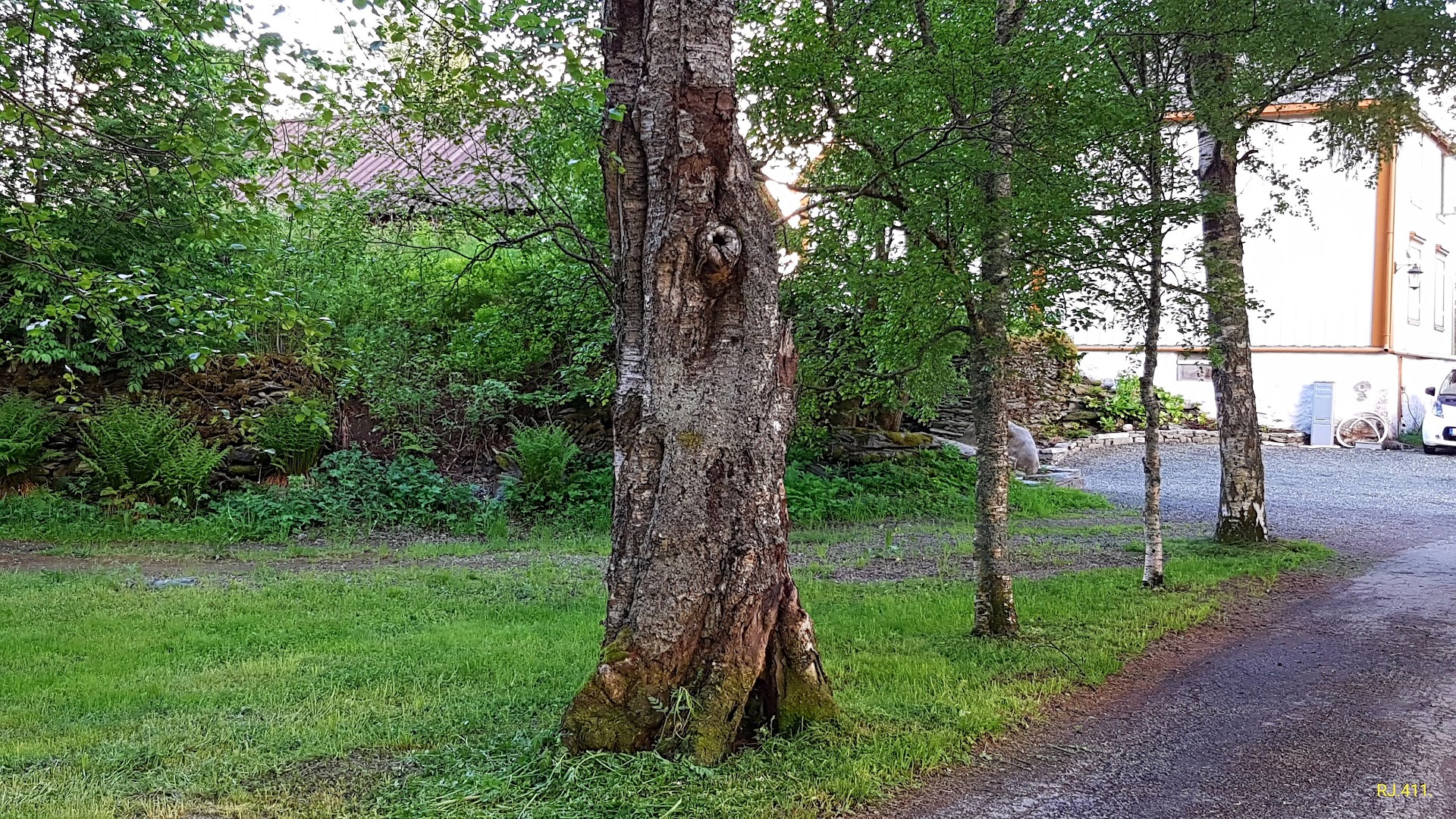 Bilde av Ferstad Gård
