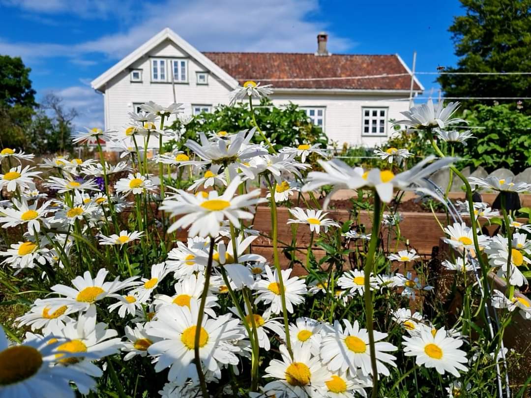Bilde av Varatun Gård