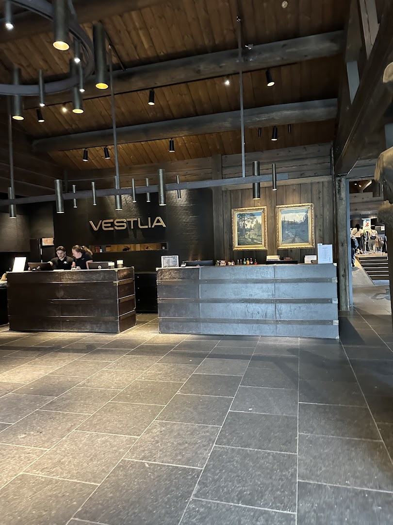 Bilde av Vestlia Resort Lounge & Bar