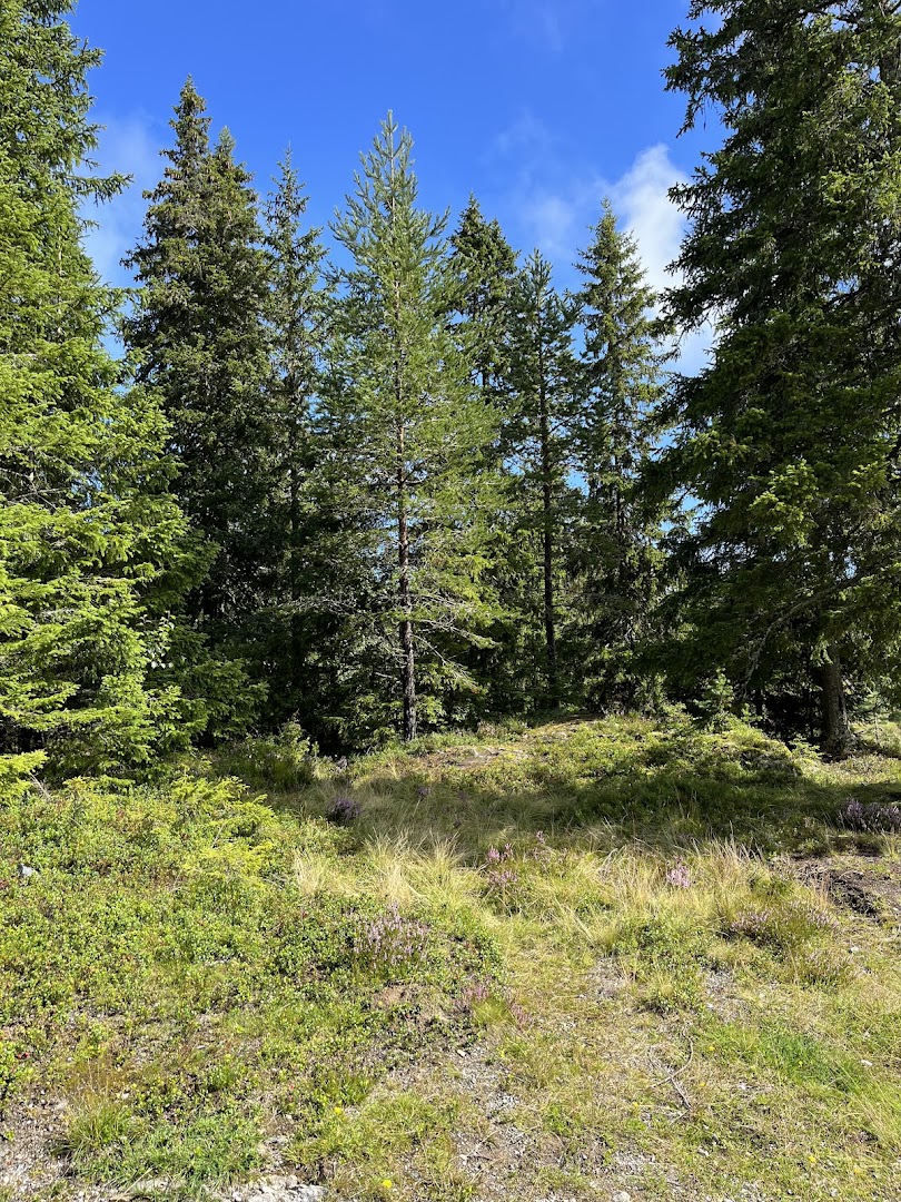 Bilde av Ringkollstua