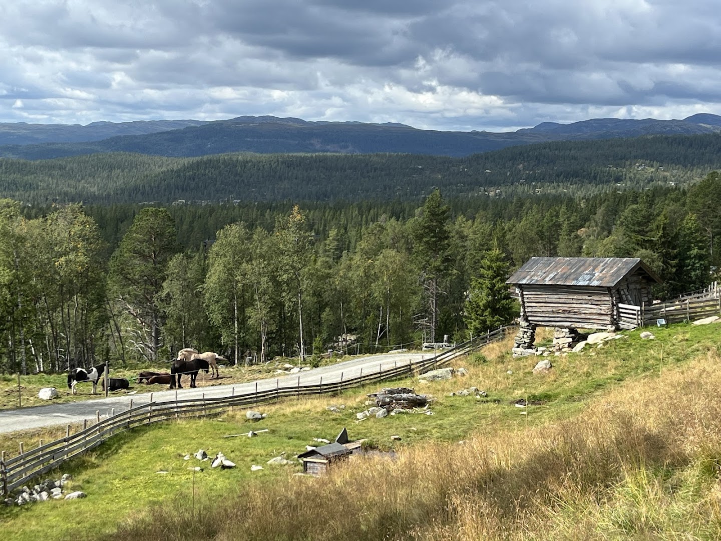 Bilde av Håvardsrud Seterliv