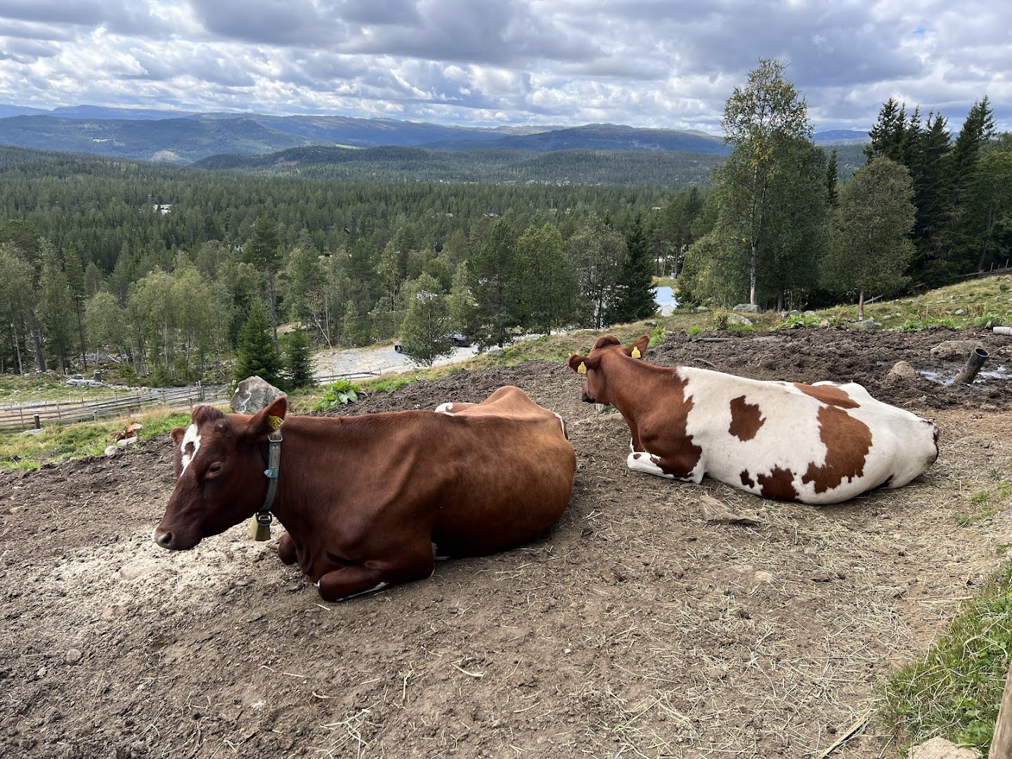 Bilde av Håvardsrud Seterliv