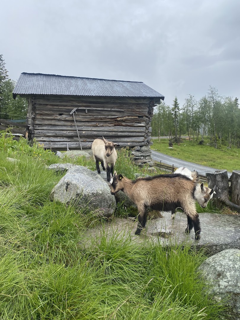 Bilde av Håvardsrud Seterliv