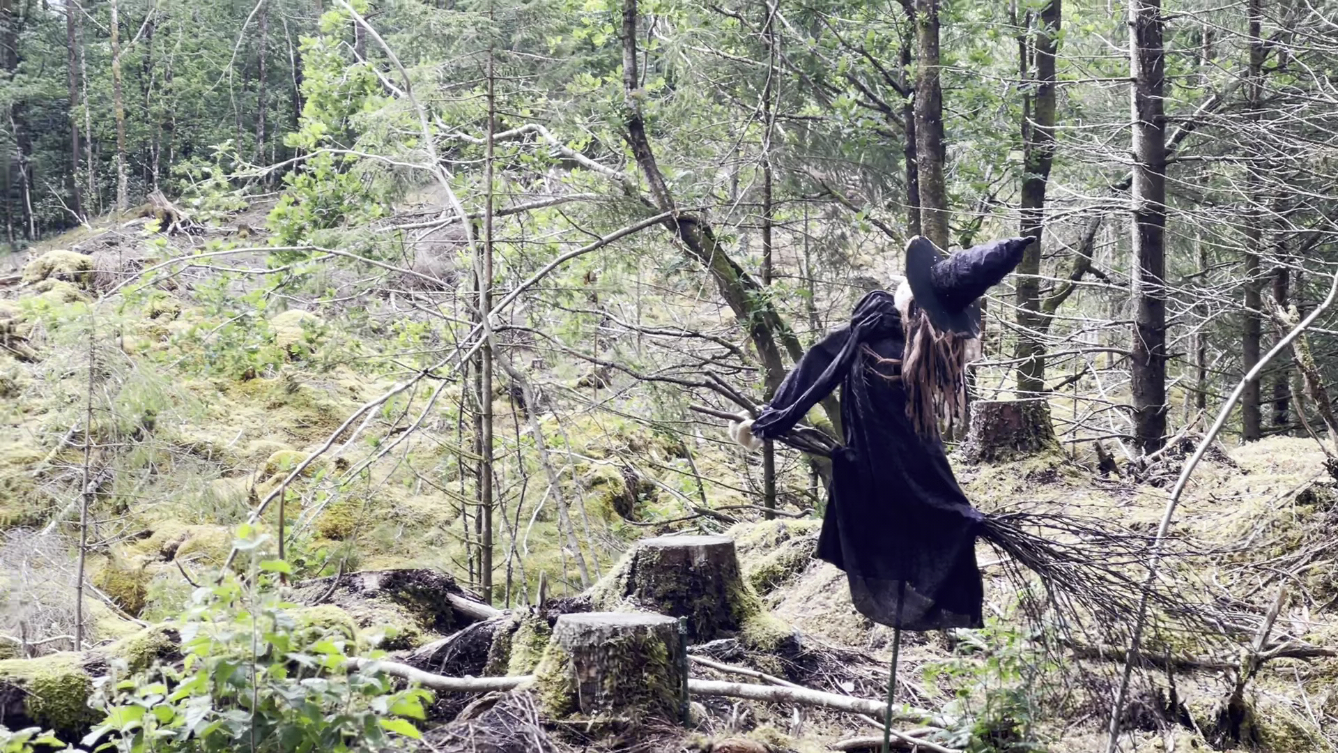 Bilde av Eventyrskogen