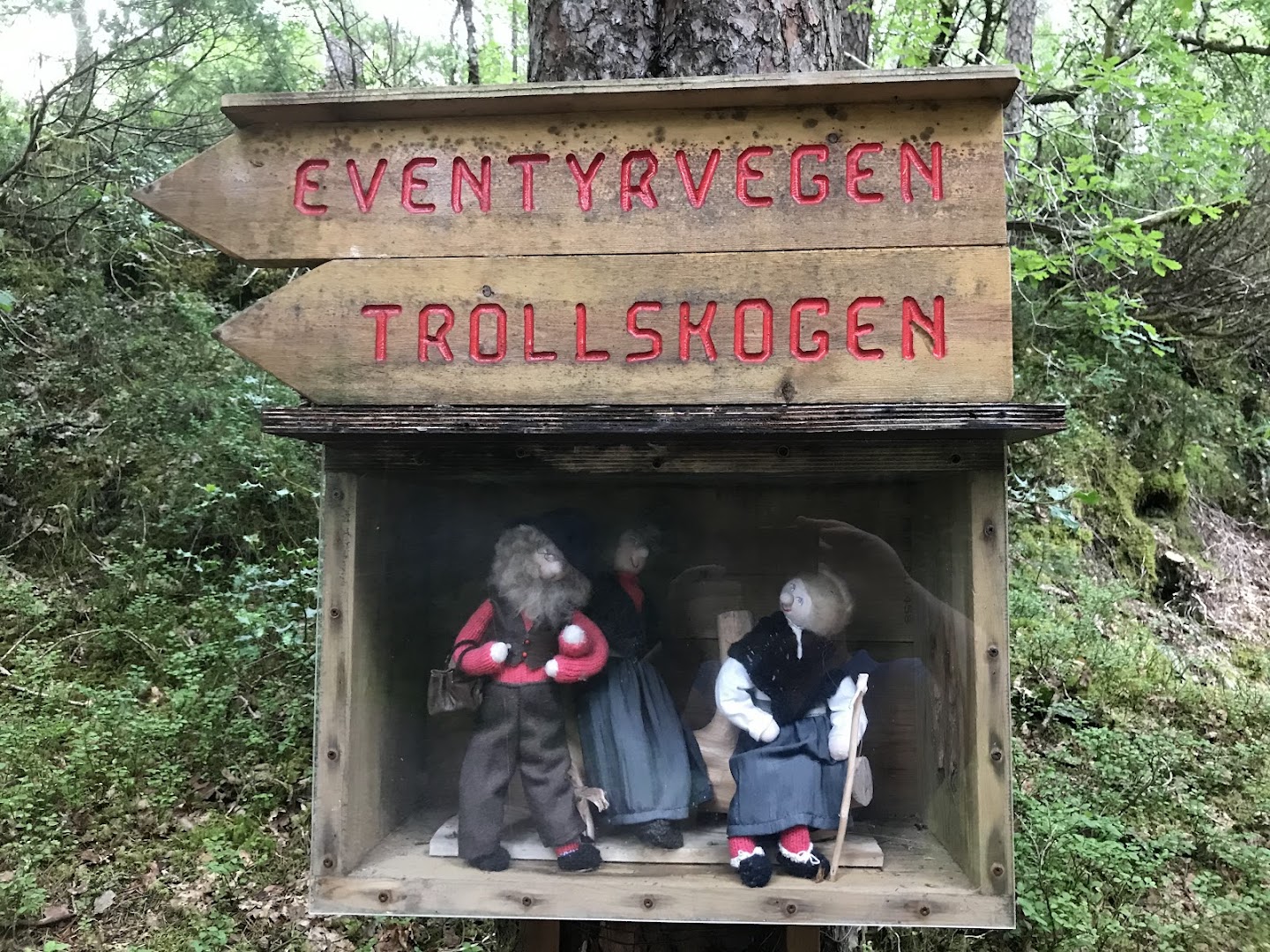 Bilde av Eventyrskogen