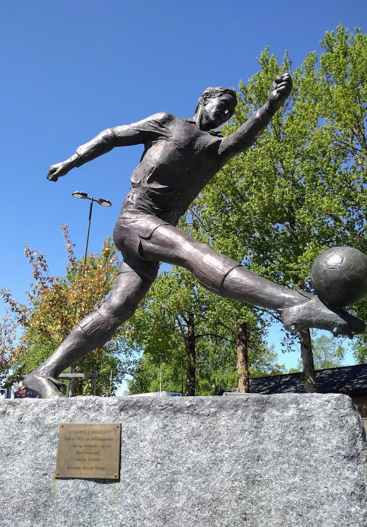 Bilde av Skagerak Arena