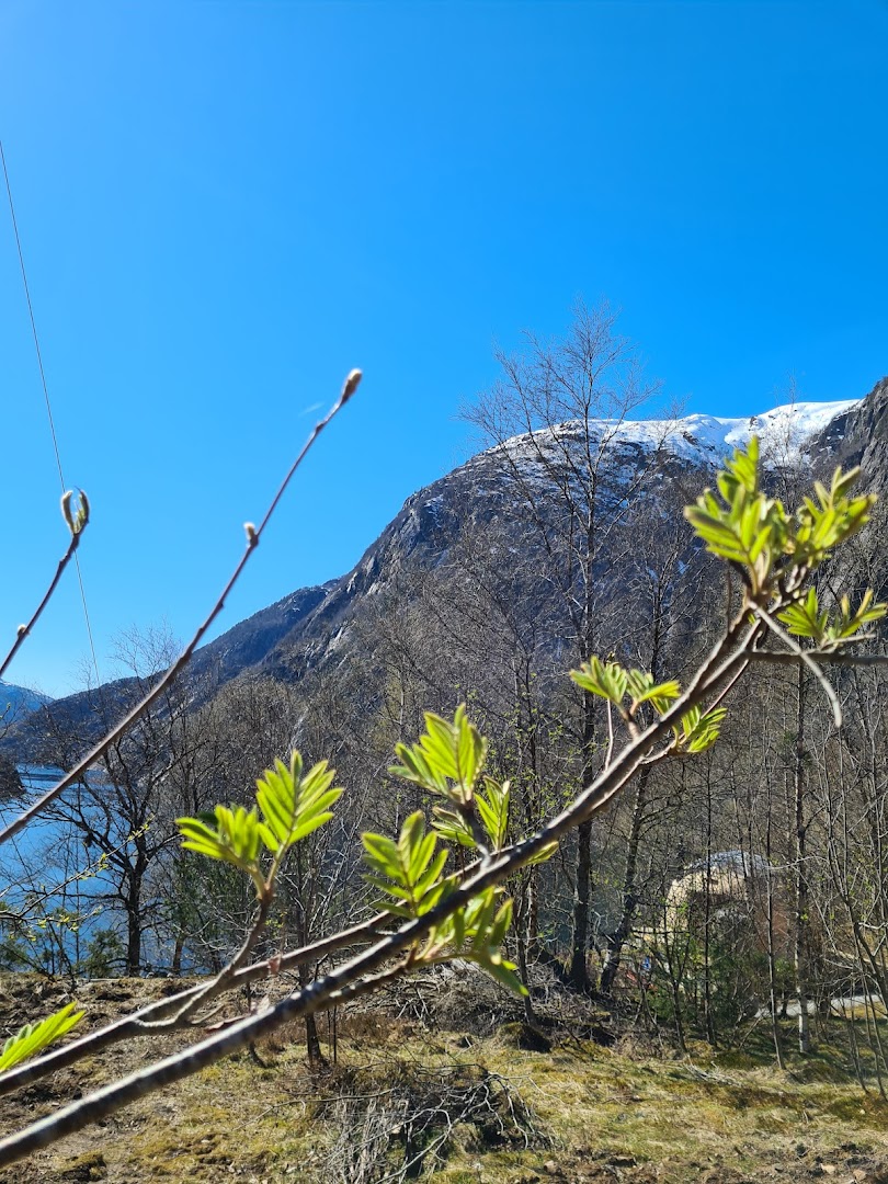 Bilde av Åkrafjorden Glamping AS