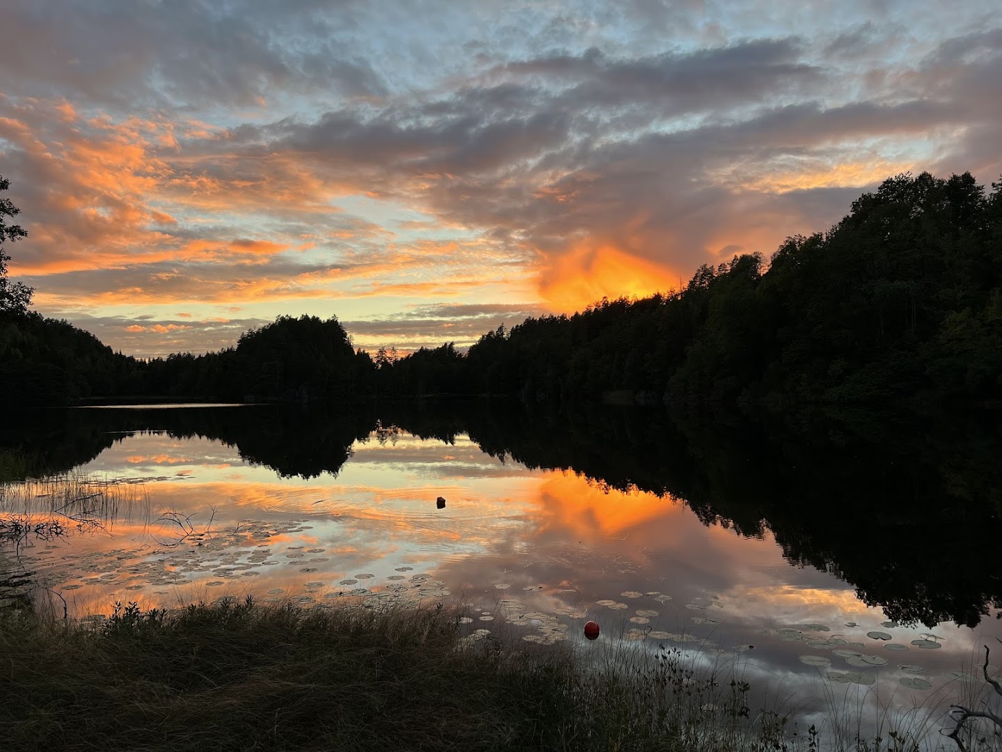 Bilde av Grimsrud Gård