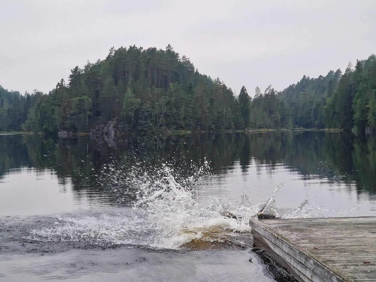 Bilde av Grimsrud Gård
