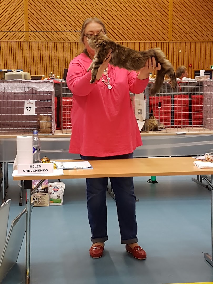 Bilde av Solberg Sport- og Kultursenter AS (Solberghallen)
