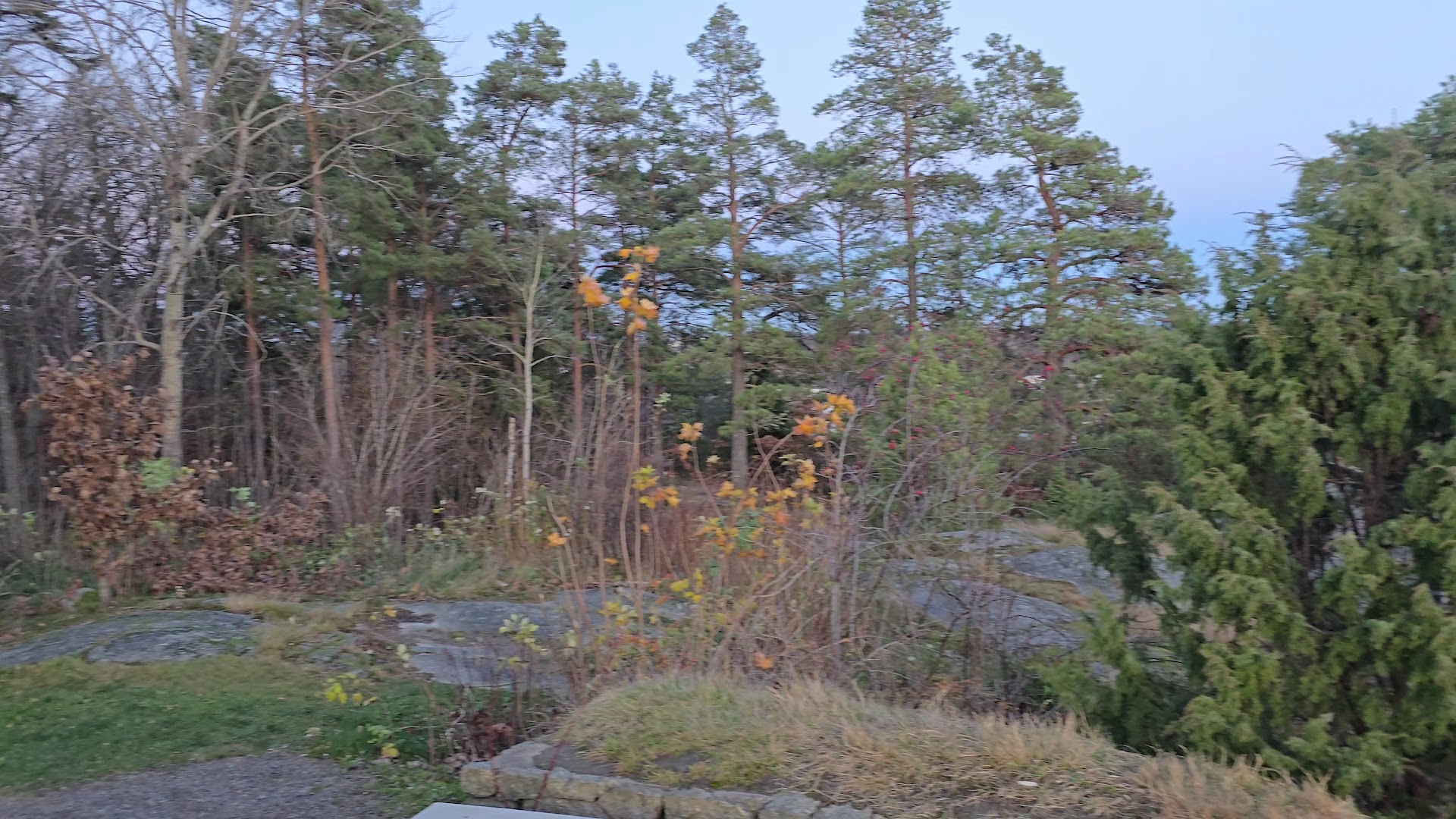 Bilde av Midtåsen selskapslokale