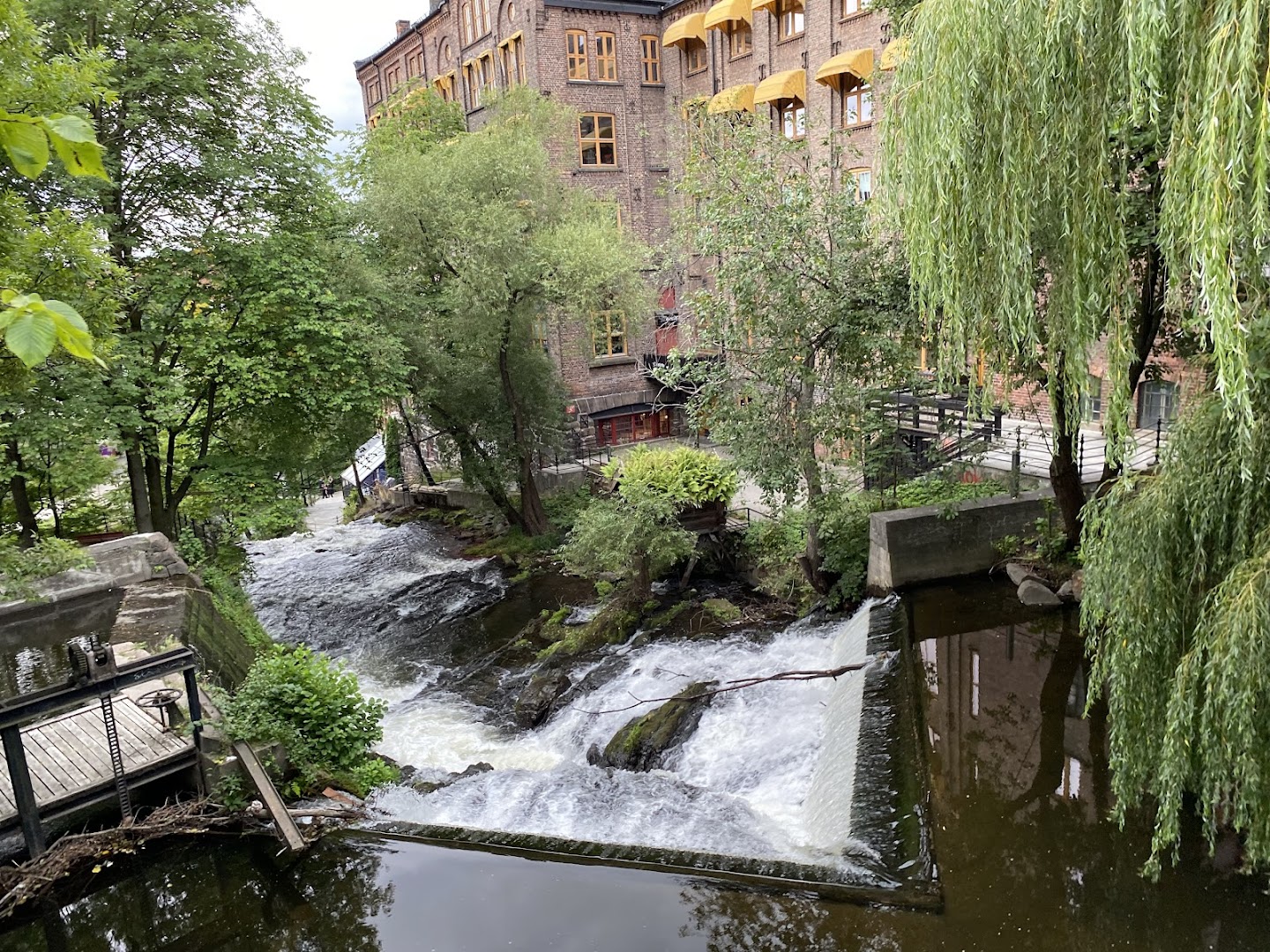 Bilde av Månefisken AS