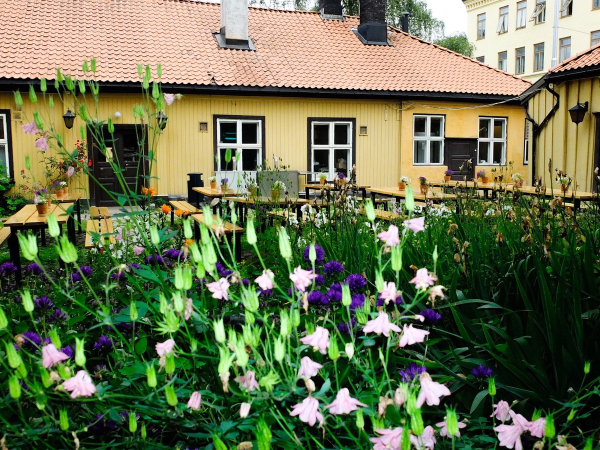 Bilde av Gaasa